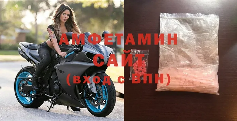 АМФ Premium  Гвардейск 